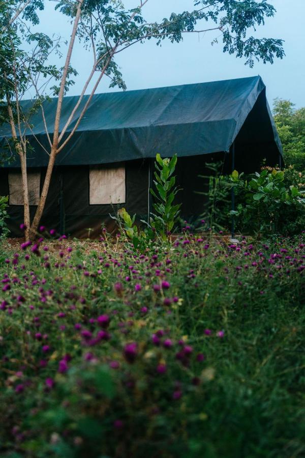 Beyond Community Apartment Auroville Exterior foto