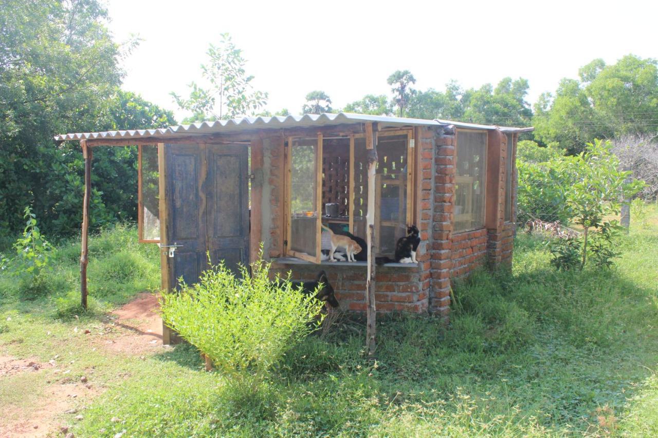 Beyond Community Apartment Auroville Exterior foto